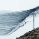 Illustration for article titled You've Never Seen Birds Fly Like This Before